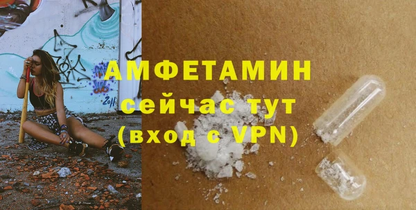 метадон Алексин