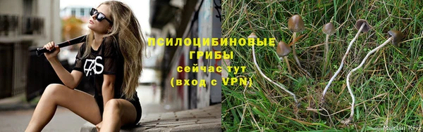 гидропоника Аркадак